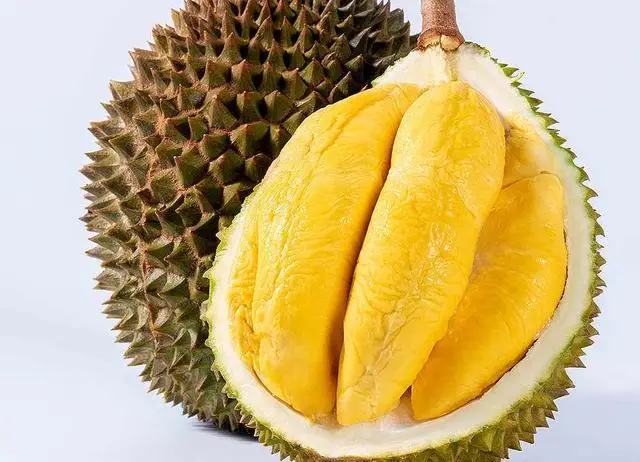 榴莲的功效和营养价值,独特营养成分,畅享滋补养颜的健康盛宴