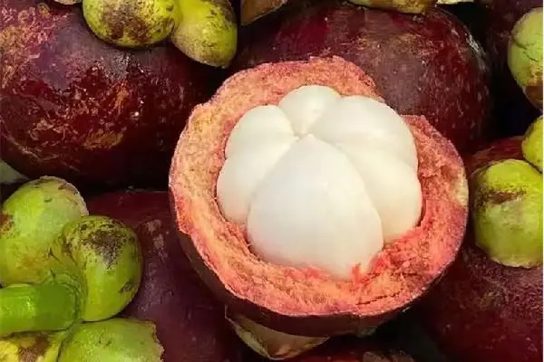 山竹里面黄黄的是什么?可以吃吗?安全食用指南全揭晓
