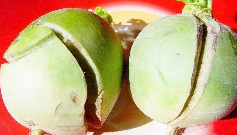 萝卜开裂不再是难题!科学种植策略助你丰收