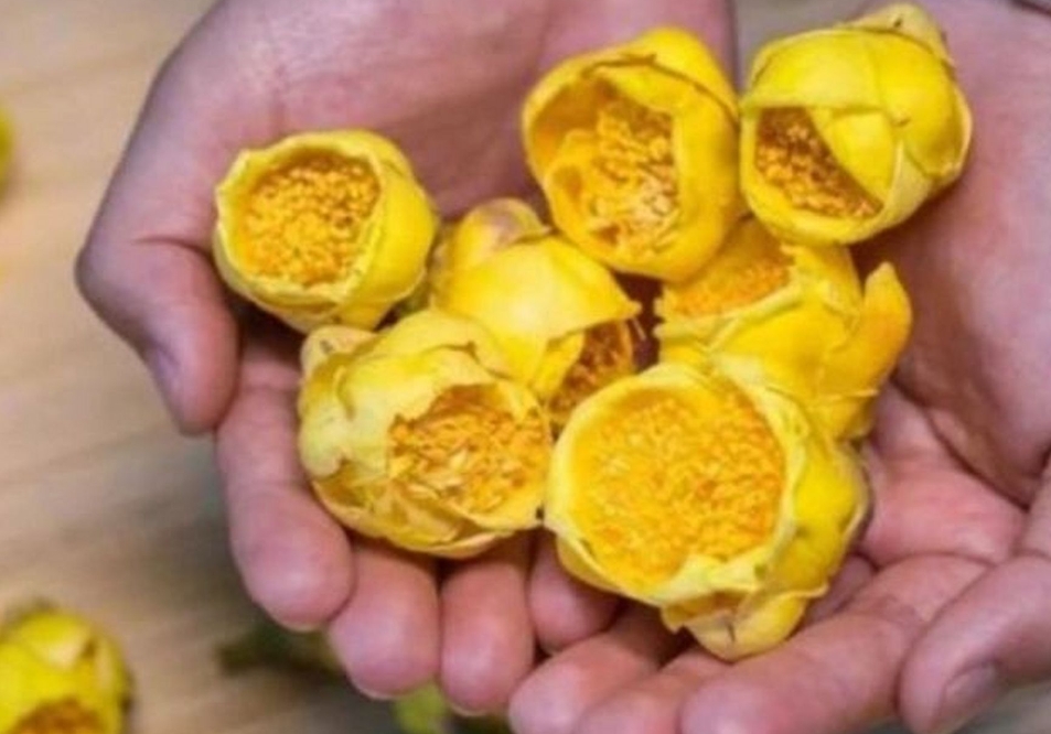 <b>揭秘金花茶神奇功效作用，滋养身心的不二之选！</b>