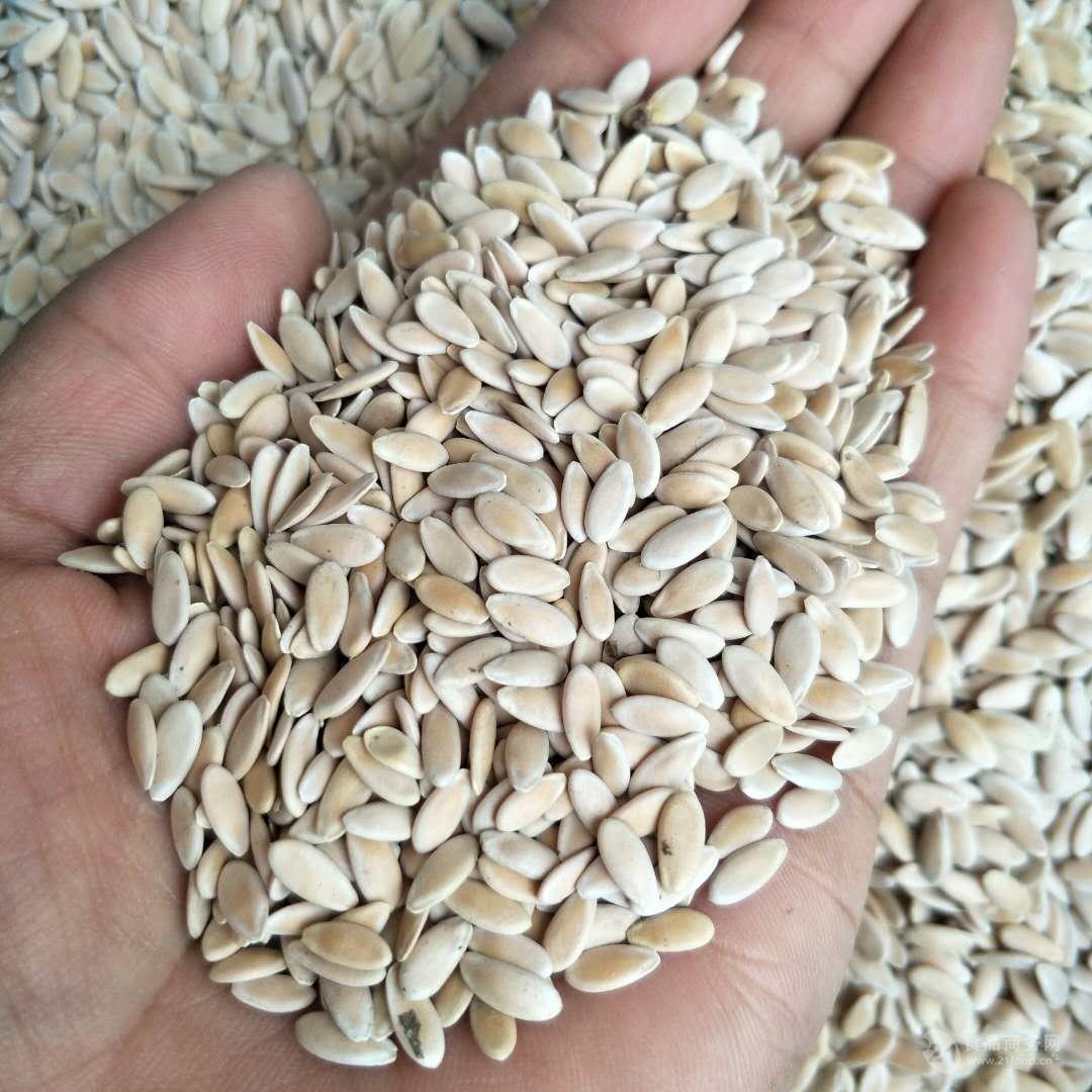 万万没想到黄瓜籽还有这么神奇的功效与作用,感觉身体被掏空