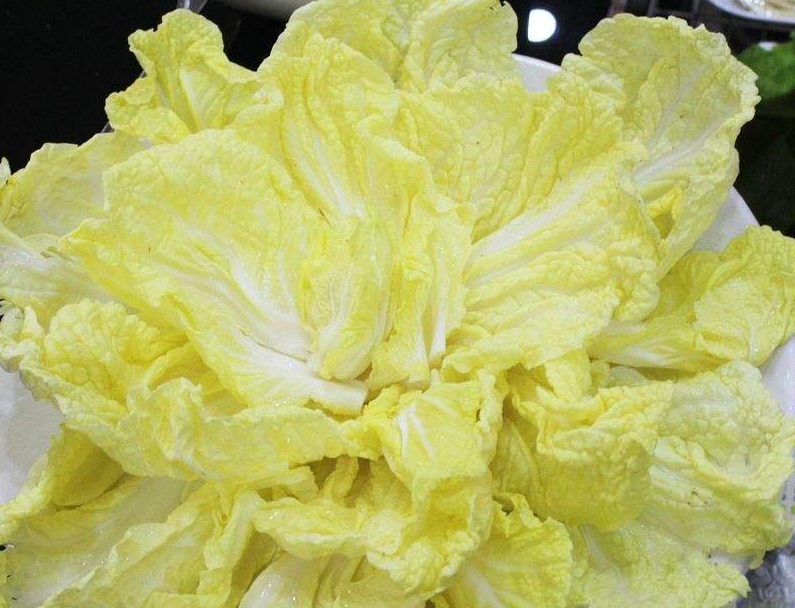 娃娃菜有毒是真的吗?专家辟谣娃娃菜“有毒”传言,科学食用是关键