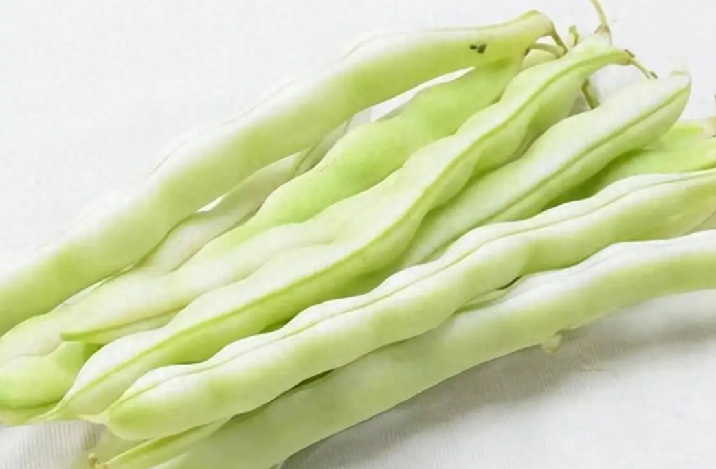 <b>芸豆不熟会中毒吗？安全食用芸豆营养美味两不误</b>