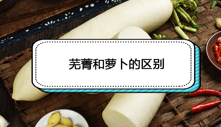 <b>芜菁是萝卜吗？别再傻傻分不清芜菁与萝卜的区别</b>