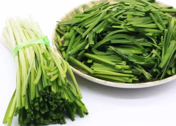 韭菜可以跟豆浆一起吃吗?韭菜豆浆搭配,营养加倍不冲突