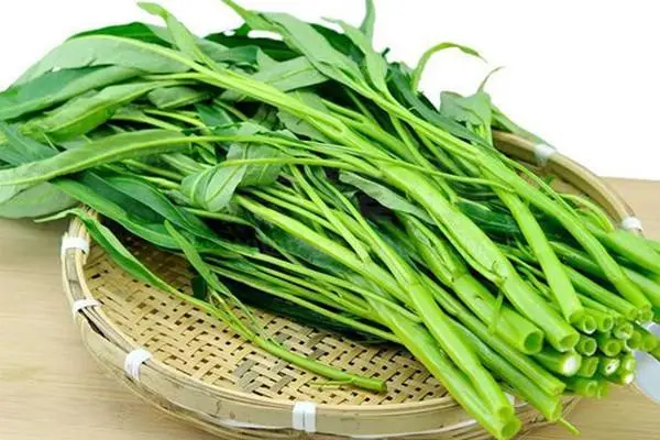空心菜降血压吗?告别高血压生活,从一盘空心菜开始。