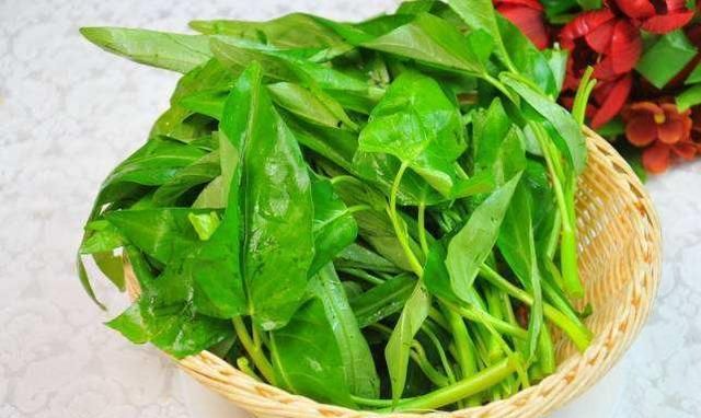空心菜降血压吗?告别高血压生活,从一盘空心菜开始。