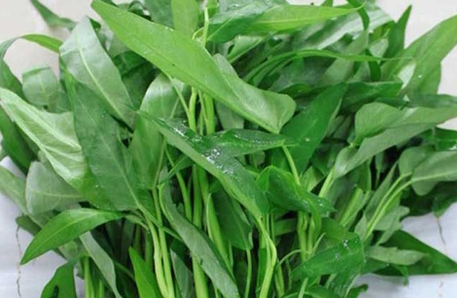 <b>空心菜降血压吗？告别高血压生活，从一盘空心菜开始。</b>
