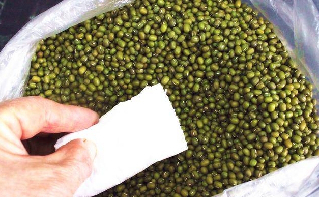 <b>绿豆夏日保存防虫保鲜术，让美味无忧轻松享清凉！</b>