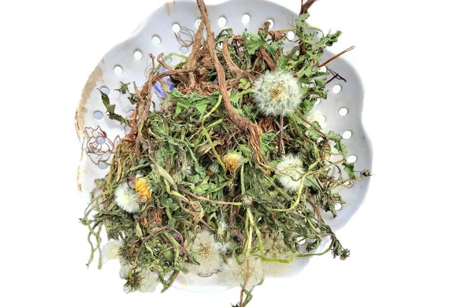 蒲公英从路边野草到珍贵中药材:华丽转身自然界的中药瑰宝!