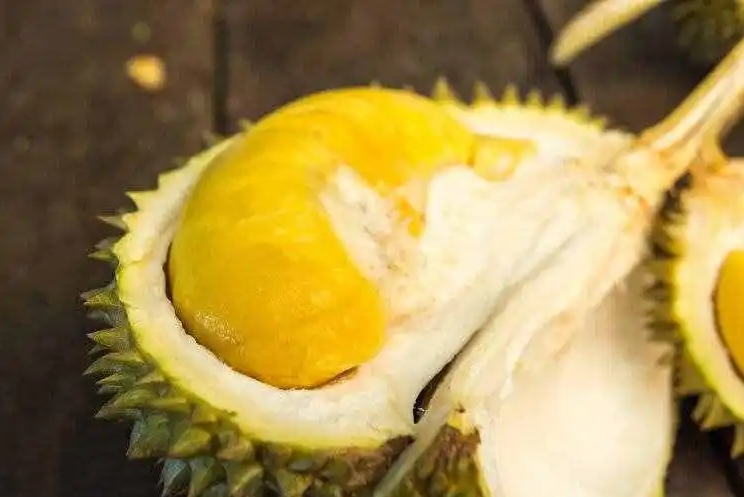 <b>榴莲为何臭味飘扬？科学解析榴莲隐藏的自然智慧与馈赠！</b>