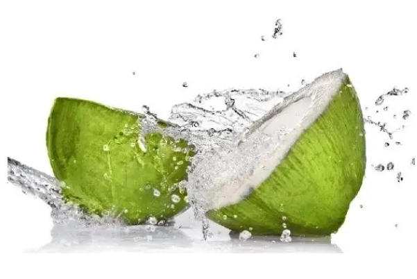 <b>椰子水-来自热带的纯净能量，重新定义夏日清凉水让你爱不释口！</b>