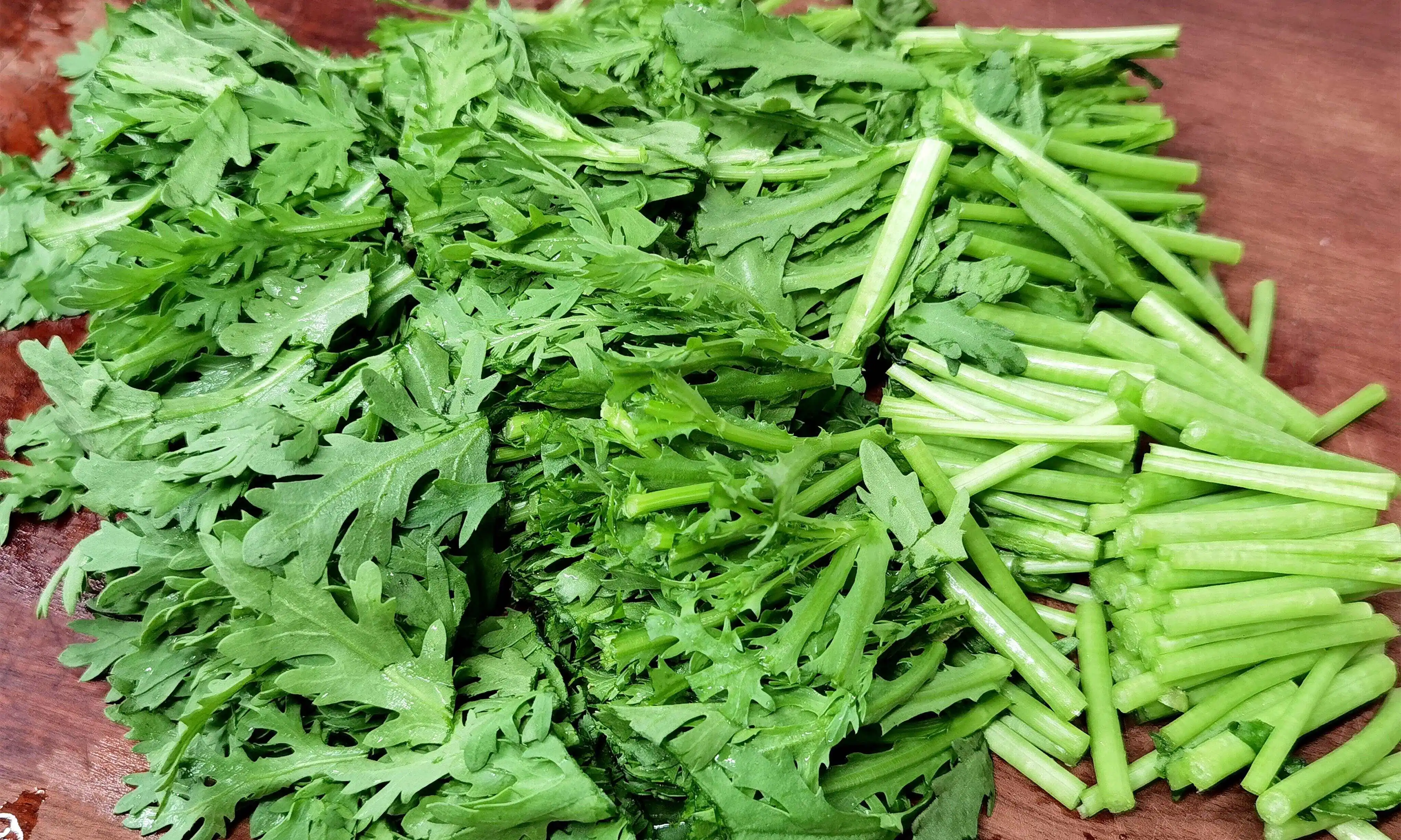 茼蒿孕妇能吃吗?孕妇食谱新宠儿营养满满无负担!