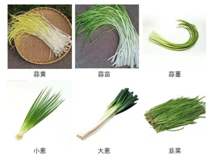 <b>蒜苗和葱不只是外观不一样，风味与营养价值也有内涵差异</b>
