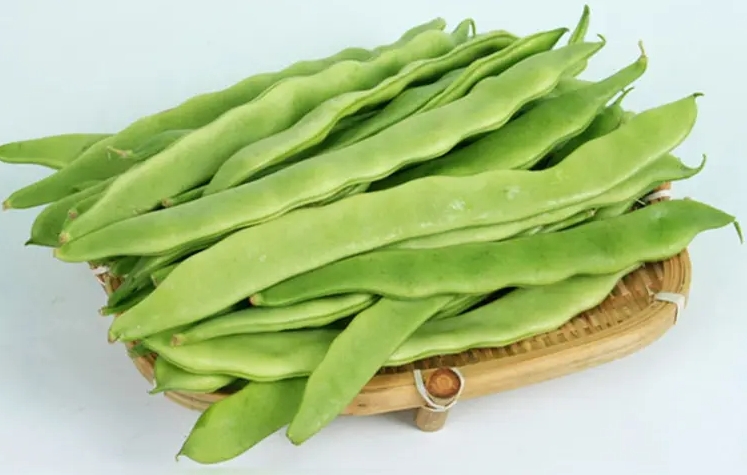芸豆与豆角区别你能分清吗?营养与烹饪风味的双重比较。