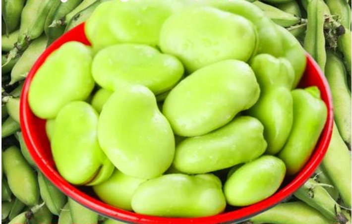 <b>绿色迷思-蚕豆到底属于蔬菜还是水果类的归类之谜</b>