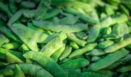 豆角保鲜新革命-告别冬季豆角荒!三招教您留住夏日鲜美!