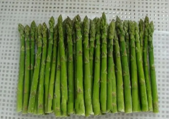 <b>探索芦笋种植地图，品味产地特色享受绿色健康芦笋</b>
