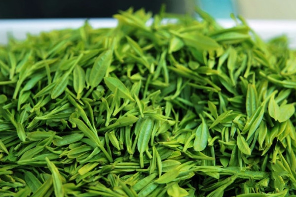 <b>茶叶的制作方法和详细流程-茶叶从鲜叶到香茗的奇幻变身之旅</b>
