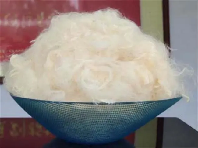 大豆不仅仅是食物,大豆纤维更是未来环保科技的关键角色!