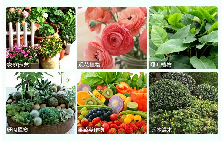 腐植酸肥料:土壤健康守护者,作物生长加速器
