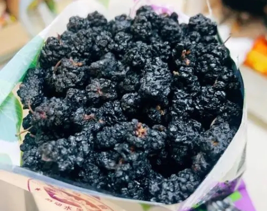 <b>阳光下的甜蜜魔法：手把手教你制作美味桑果干！</b>