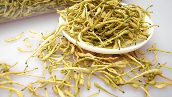 金银花的“冰火两重天”:金银花寒性属性与神奇功效