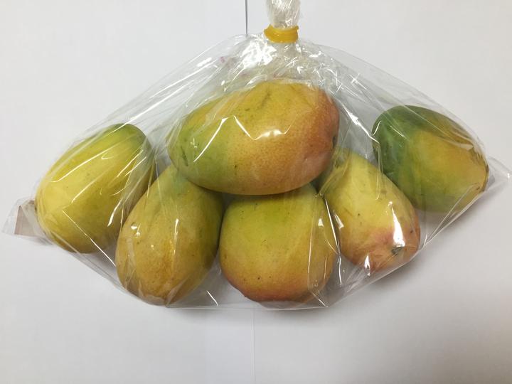 芒果保鲜黑科技?冷冻保存让美味超长待机!