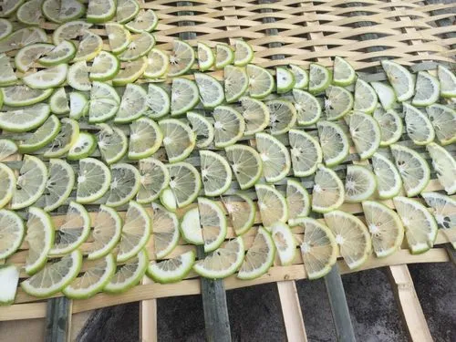 柠檬干的秘密柠檬干制作方法:让每一口都是阳光的味道!