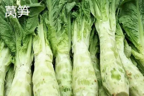 莴笋是不是贡菜?营养与美味天差地别。