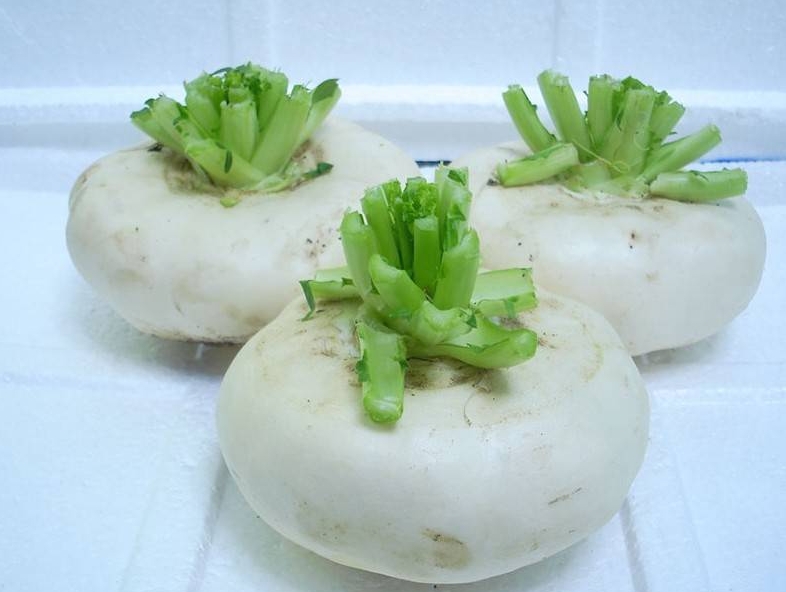 芜菁菜就是大头菜吗?揭穿蔬菜界的“伪装者”。