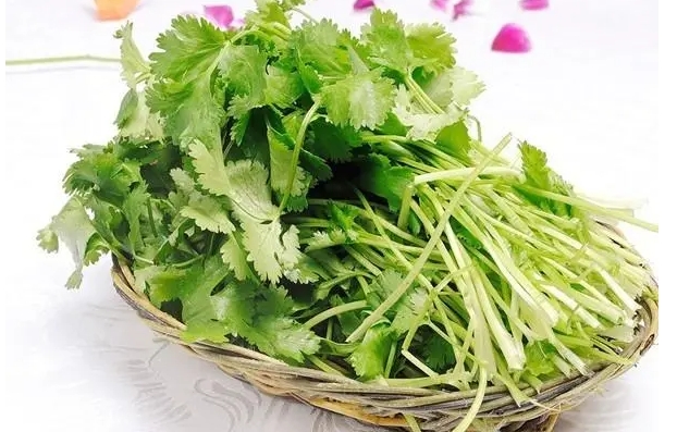 <b>香菜是辛辣刺激性食物吗？清新营养满满的调味高手。</b>