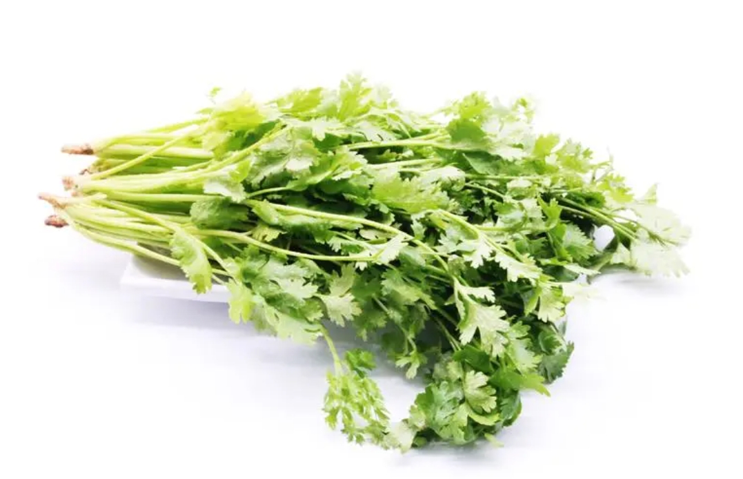 香菜是辛辣刺激性食物吗?清新营养满满的调味高手。