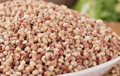 <b>高粱米含糖量多少？不容错过的营养粗粮。</b>