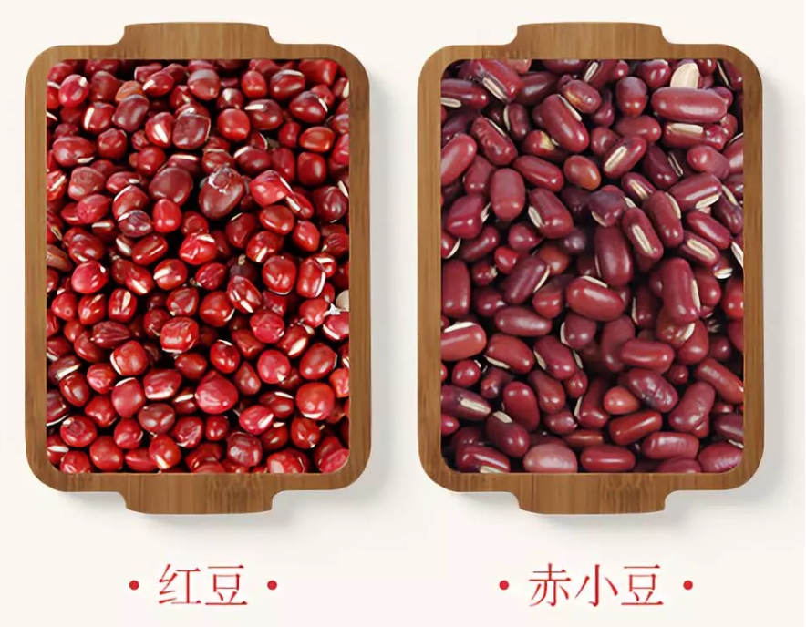 红豆是不是赤小豆?同名不同类食材大不同。