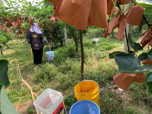 冲施肥是水溶肥吗?专业使用方法指南助力作物高产。