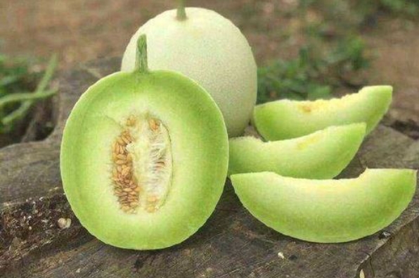 <b>甜瓜亩产量一般能达到多少公斤？甜瓜高产种植秘诀分享。</b>