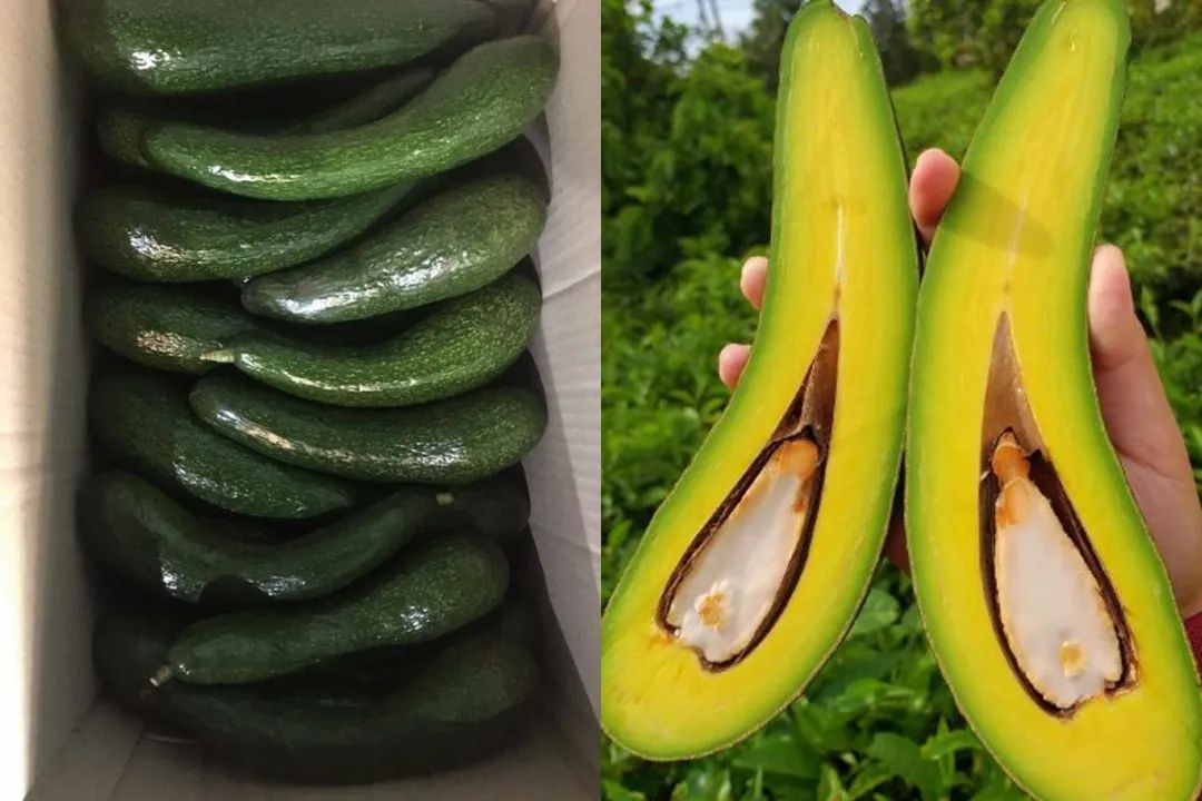 牛油果是减肥神器还是增肥元凶?营养和热量揭晓!