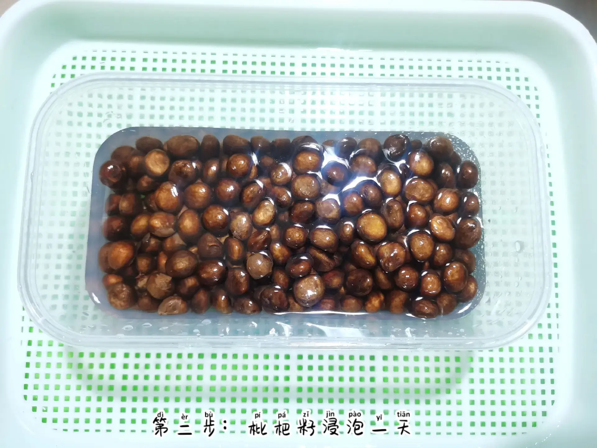 枇杷核种植变果树?掌握这几点,轻松实现家中果园梦!