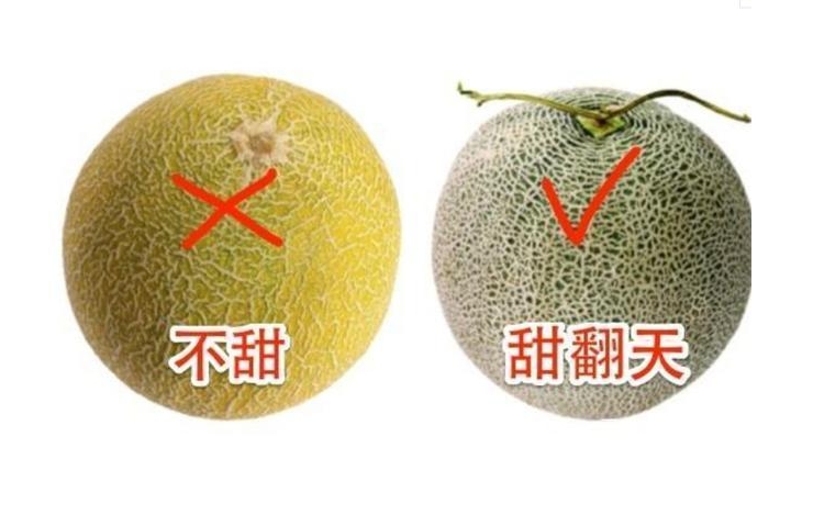 哈密瓜挑选技巧大放送,甜蜜一夏就靠它。