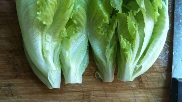 生菜根部变身新生命,家庭种植新技能get√。