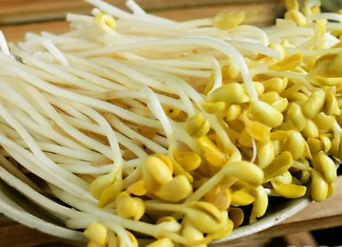 豆芽美味无负担,豆芽去皮妙招让你爱不释口。