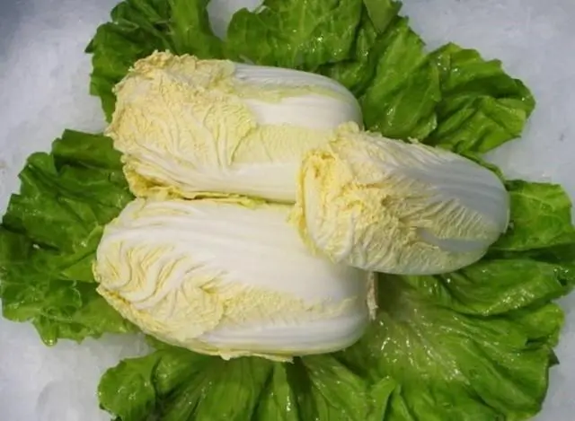 娃娃菜命名的背后故事,为何不是“宝宝菜”?
