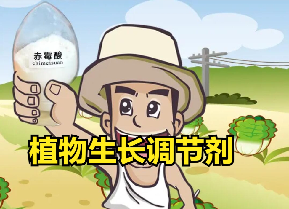 植物调节剂是激素还是肥料?超越激素与肥料的新科技。