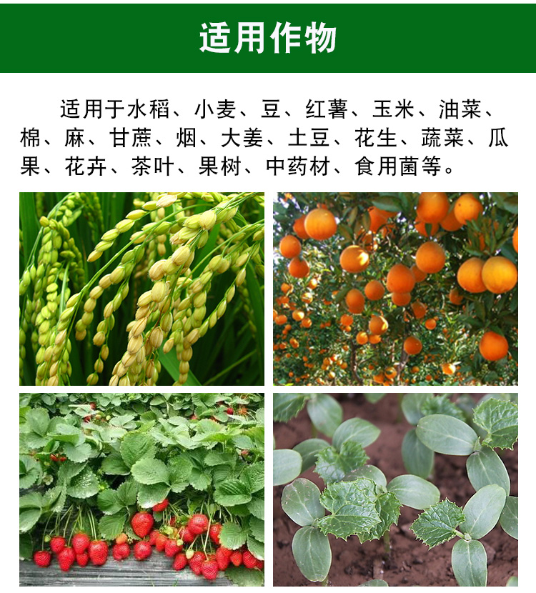 植物调节剂是激素还是肥料?超越激素与肥料的新科技。