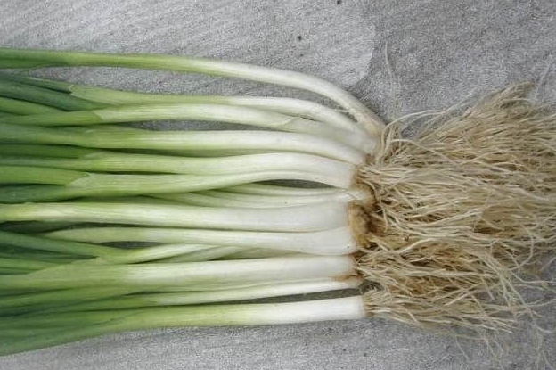 <b>告别误区！葱头并非去除甲醛的灵丹妙药</b>