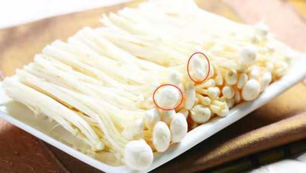 金针菇帽子发粘真相揭秘,警惕可能是变质信号!