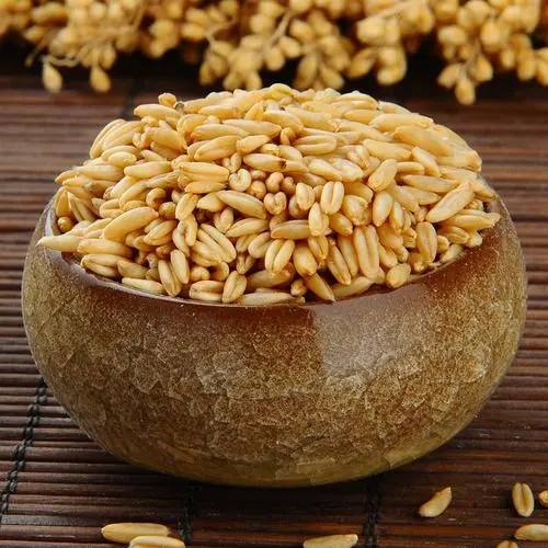 什么小麦品种好吃又营养?这样选择小麦让你爱不释口。