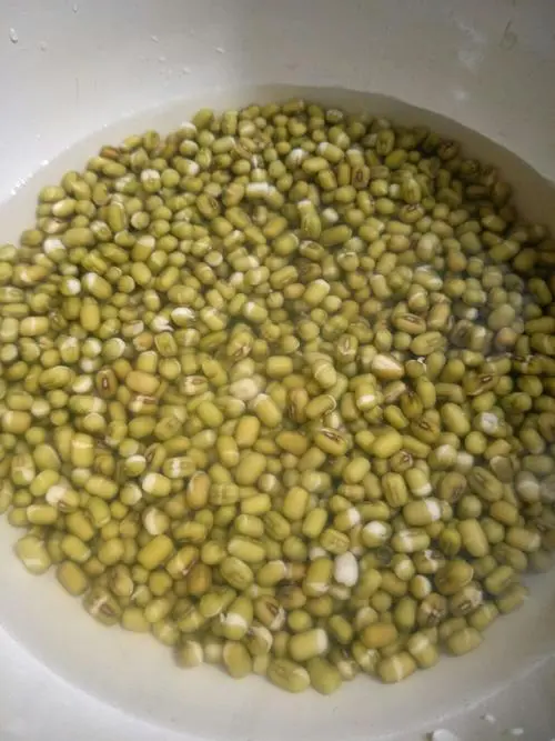 绿豆煮出泡沫正常吗?别怕,这里有妙招应对!