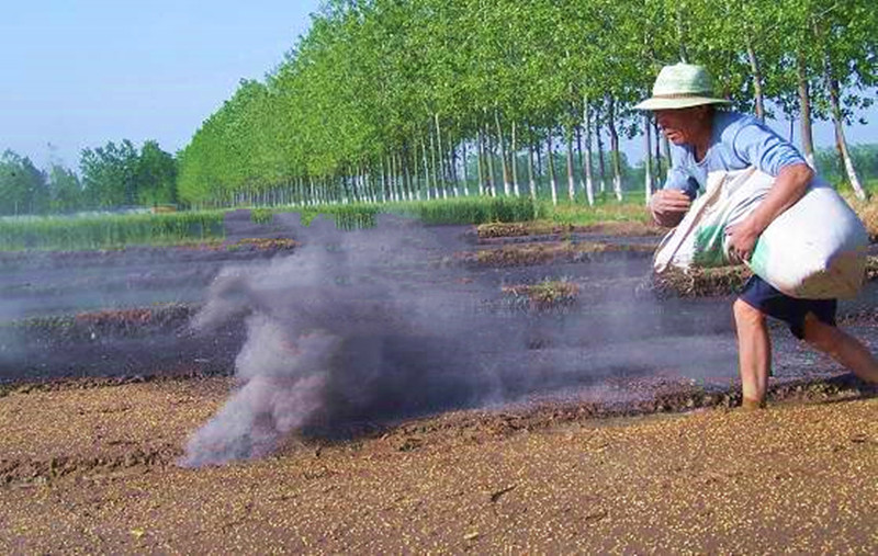 告别化肥依赖-农家草木灰如何变身高效肥料?